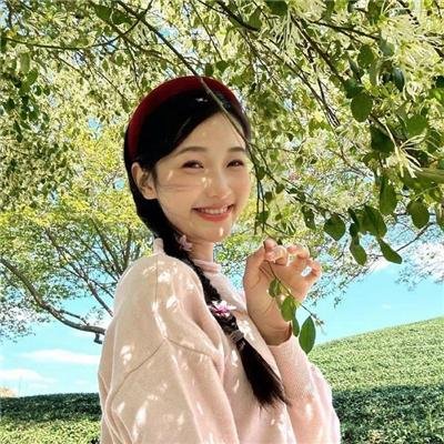 完美拍档2017