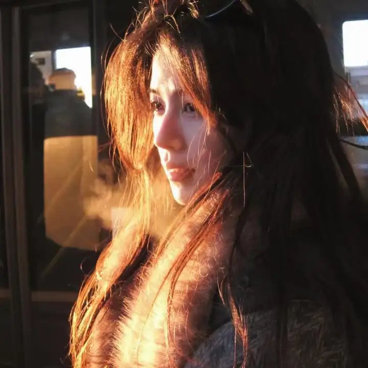 女仆日记2015